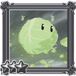 Cabbage Harvest Quest